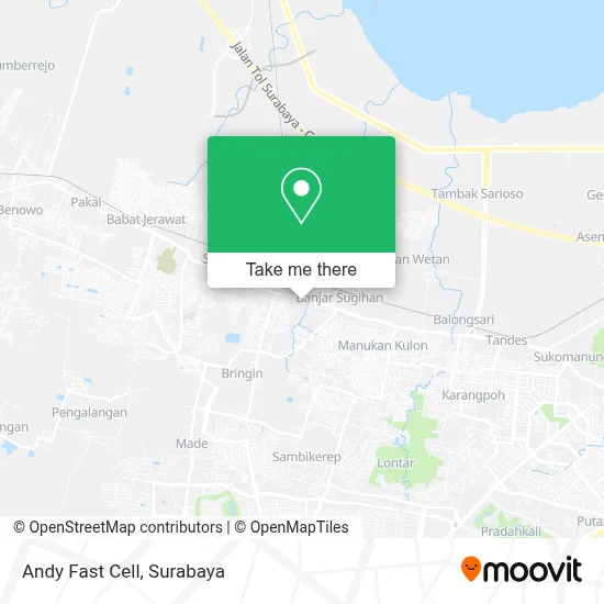 Andy Fast Cell map