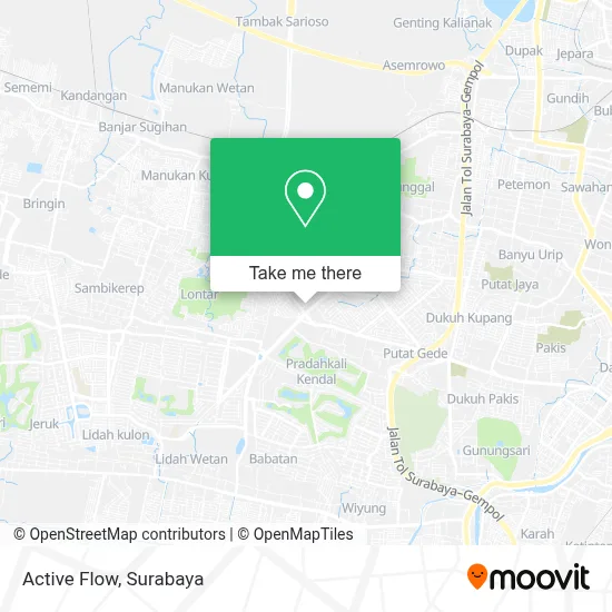 Active Flow map