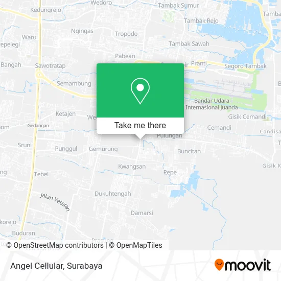 Angel Cellular map