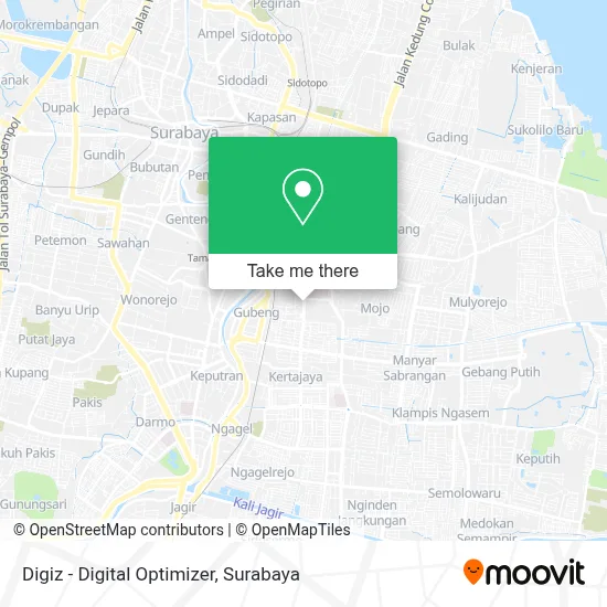 Digiz - Digital Optimizer map