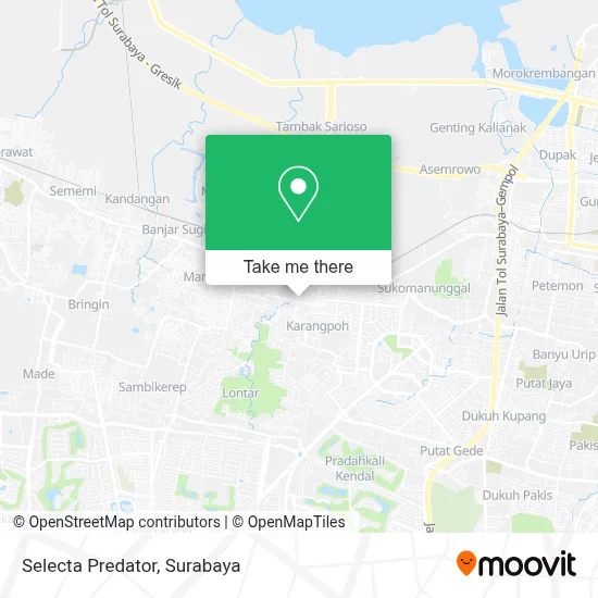 Selecta Predator map