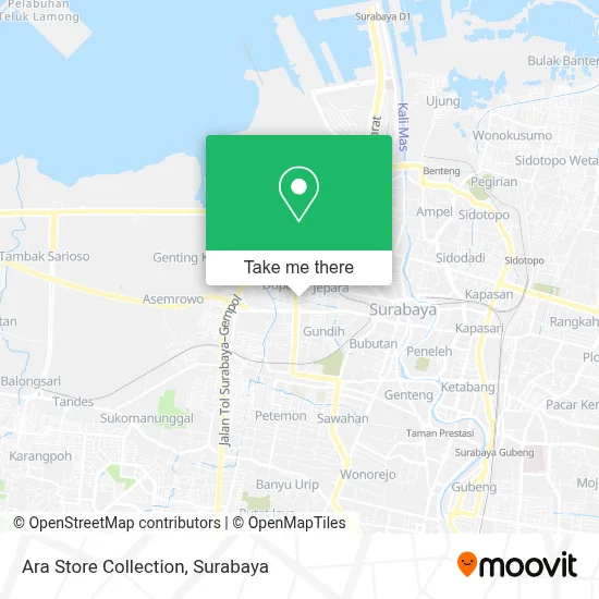 Ara Store Collection map