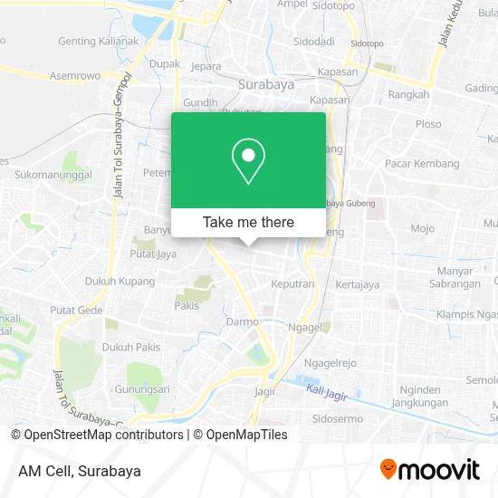 AM Cell map