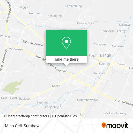 Mico Cell map