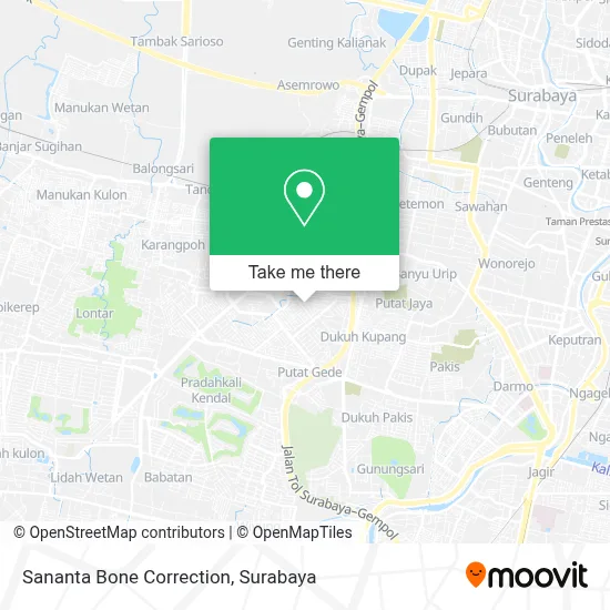 Sananta Bone Correction map
