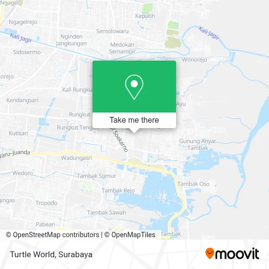 Turtle World map