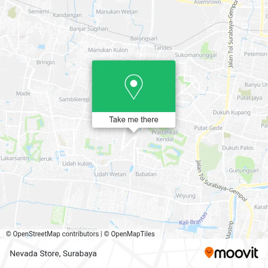 Nevada Store map