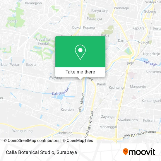 Calla Botanical Studio map