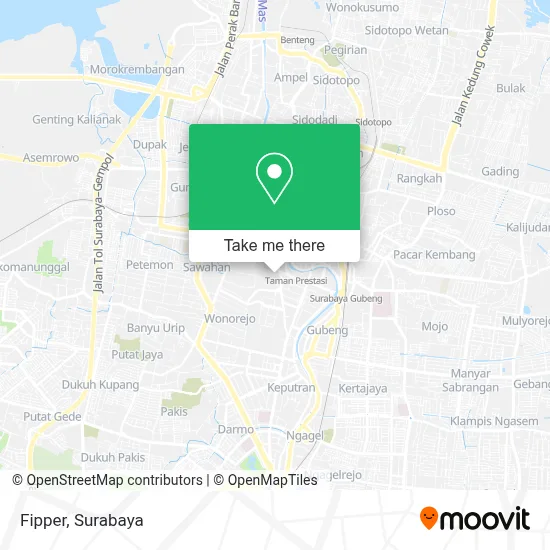Fipper map