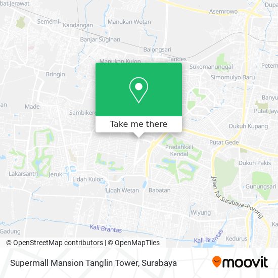 Supermall Mansion Tanglin Tower map