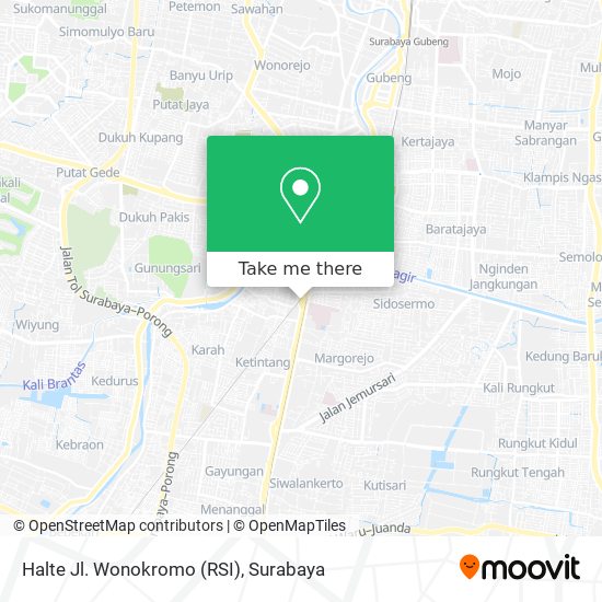 Halte Jl. Wonokromo (RSI) map
