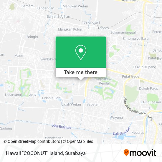 Hawaii "COCONUT" Island map