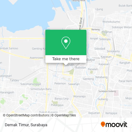 Demak Timur map