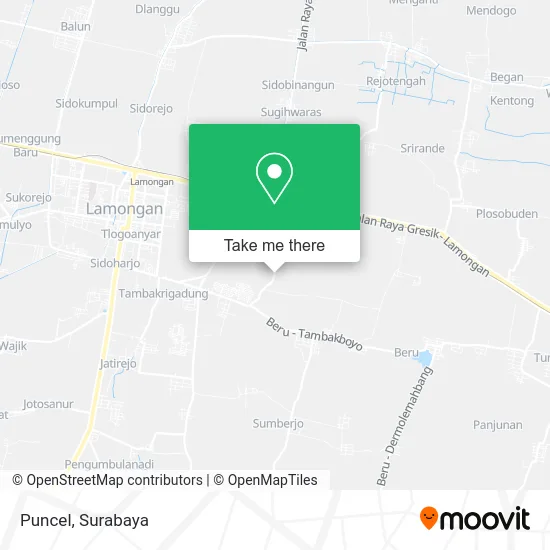 Puncel map