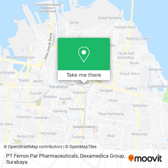PT Ferron Par Pharmaceuticals, Dexamedica Group map