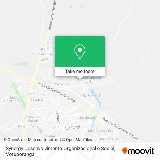 Synergy Desenvolvimento Organizacional e Social map