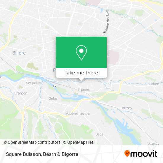 Square Buisson map