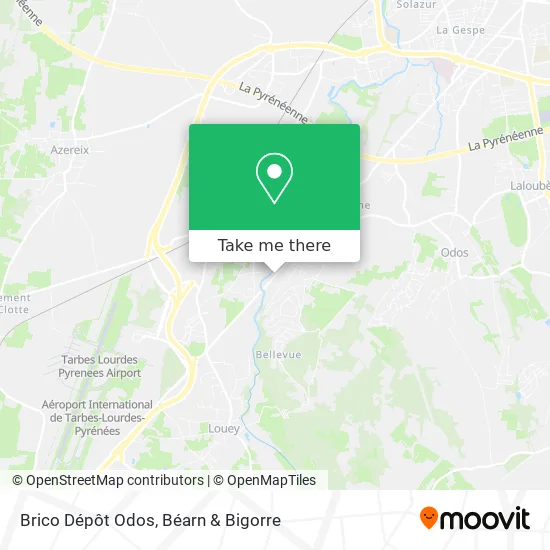 Brico Dépôt Odos map