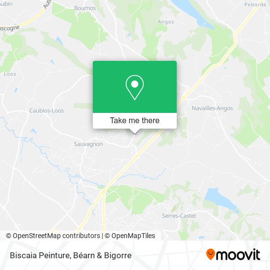 Biscaia Peinture map