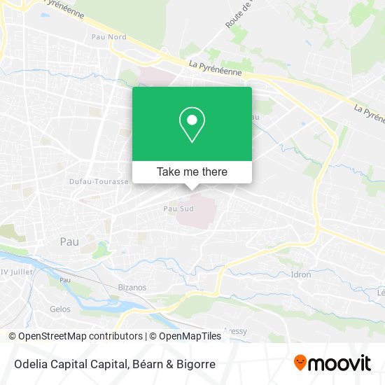 Odelia Capital Capital map