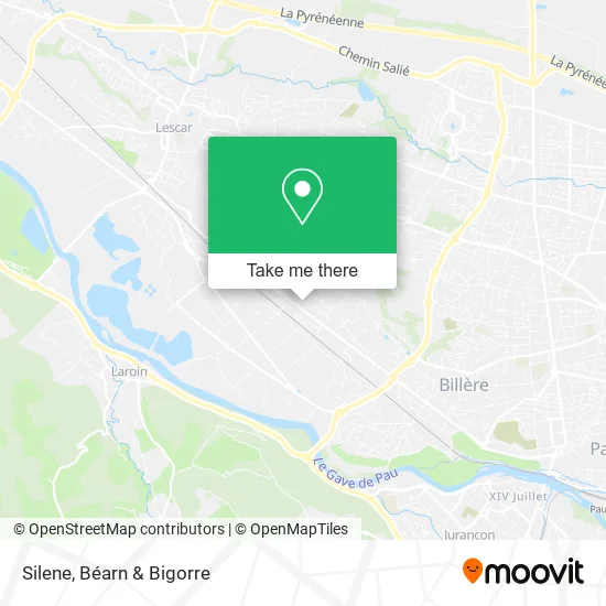 Silene map
