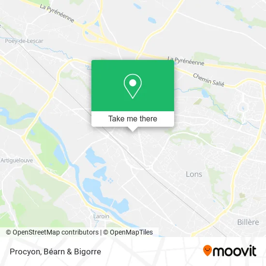 Procyon map