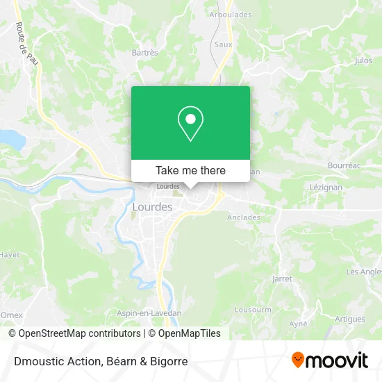 Dmoustic Action map