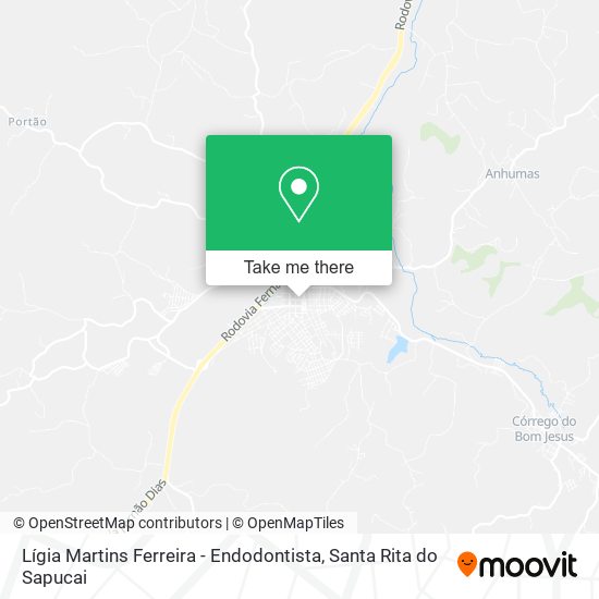 Lígia Martins Ferreira - Endodontista map