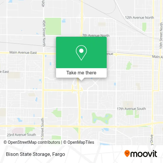 Bison State Storage map