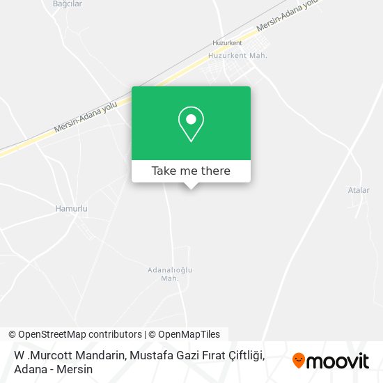 W .Murcott Mandarin, Mustafa Gazi Fırat Çiftliği map