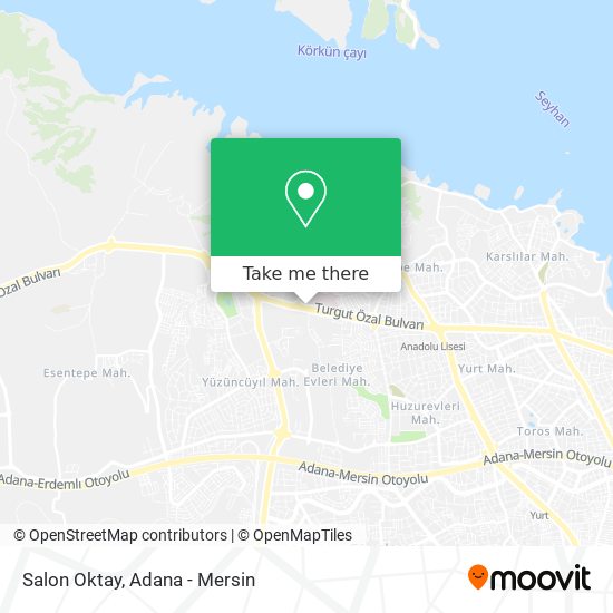 Salon Oktay map