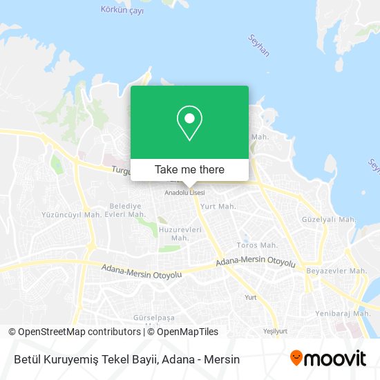 Betül Kuruyemiş Tekel Bayii map