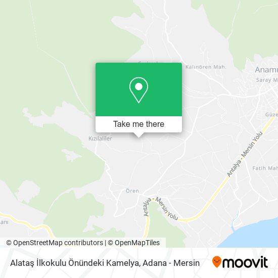 Alataş İlkokulu Önündeki Kamelya map