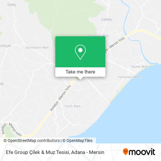 Efe Group Çilek & Muz Tesisi map