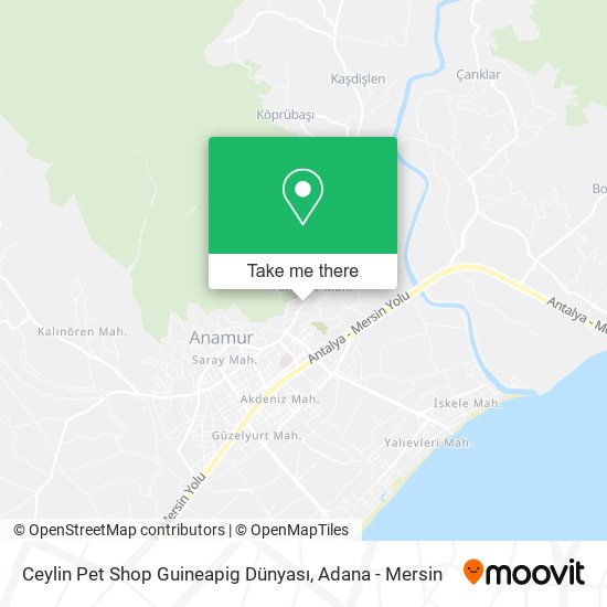 Ceylin Pet Shop Guineapig Dünyası map