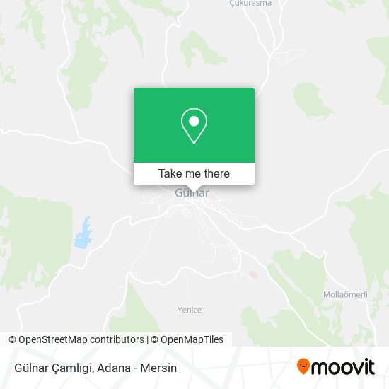 Gülnar Çamlıgi map