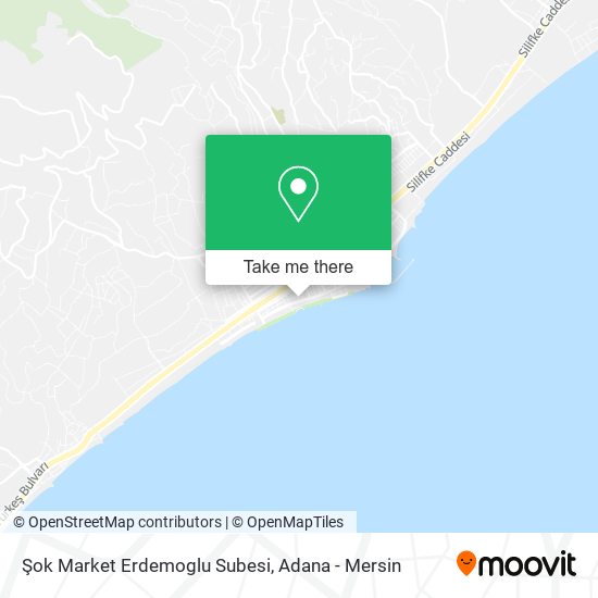 Şok Market Erdemoglu Subesi map