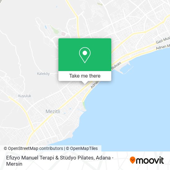 Efizyo Manuel Terapi & Stüdyo Pilates map