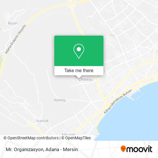 Mr. Organızasyon map