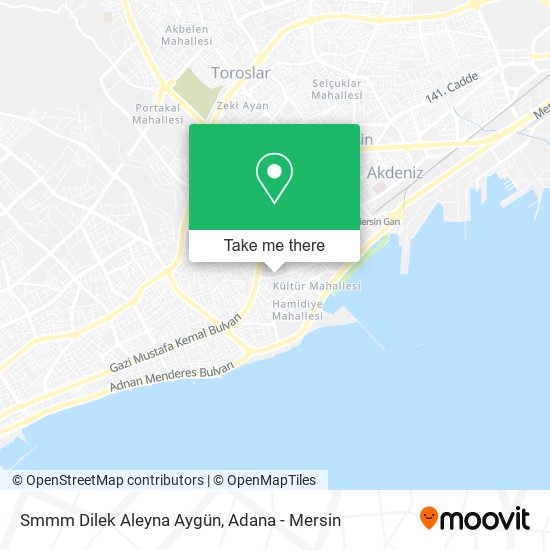 Smmm Dilek Aleyna Aygün map