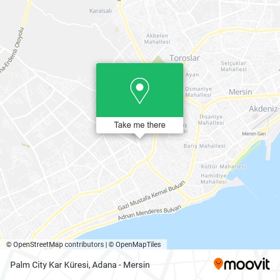 Palm City Kar Küresi map