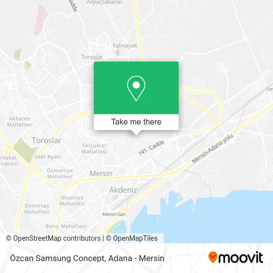 Özcan Samsung Concept map