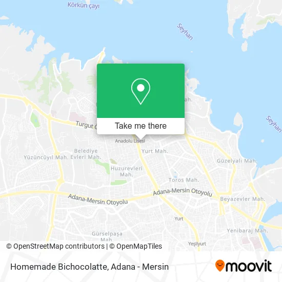 Homemade Bichocolatte map