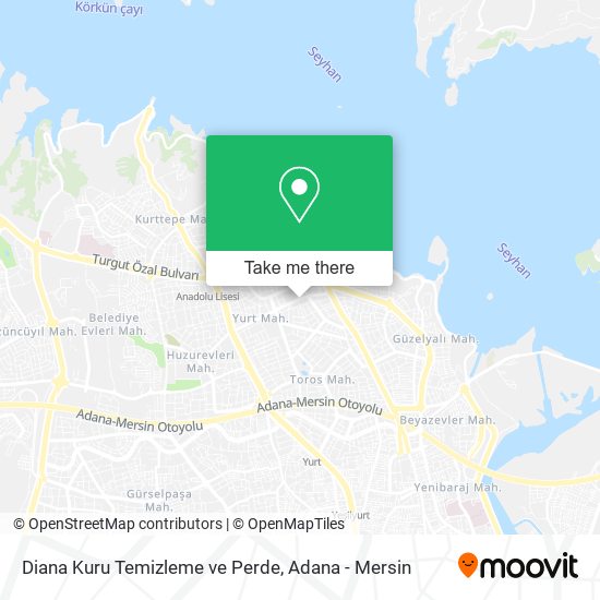 Diana Kuru Temizleme ve Perde map