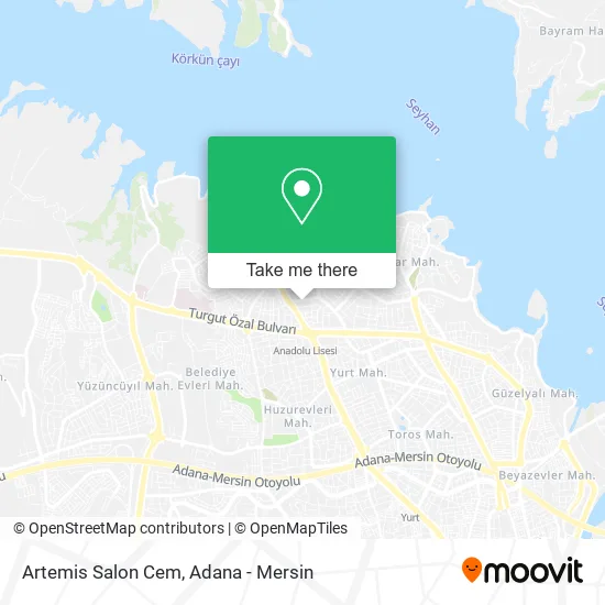 Artemis Salon Cem map