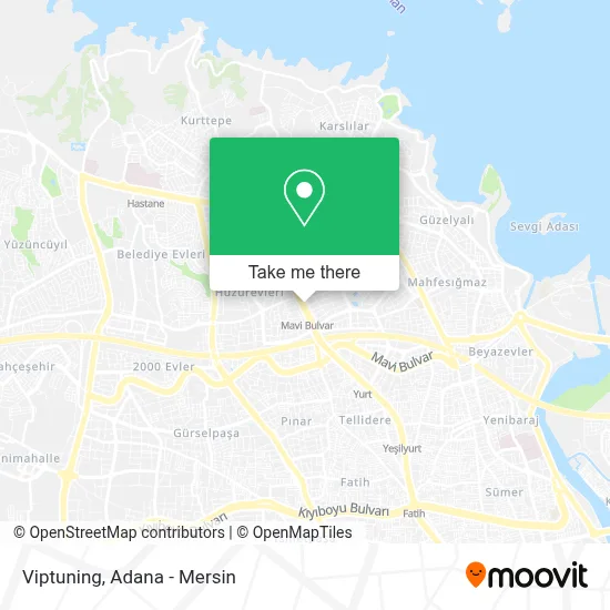 Viptuning map