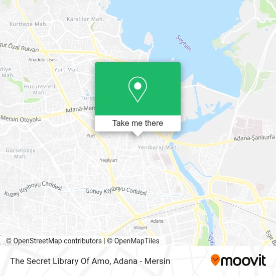 The Secret Library Of Amo map