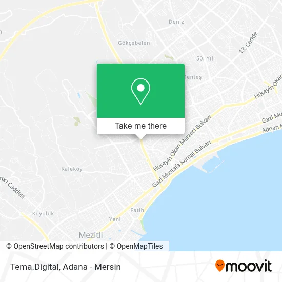 Tema.Digital map