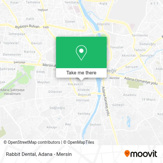 Rabbit Dental map