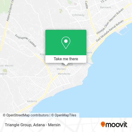 Triangle Group map